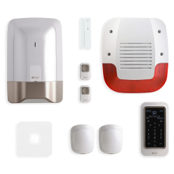 Delta Dore PACK TYXAL+ 6410192 - Pack alarme TYXIAL+ NFA2P