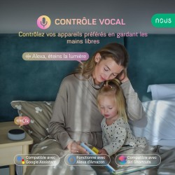 NOUS A1 - Prise intelligente Wifi TUYA