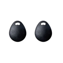 Risco RP200KT2000A - Lot de 2 badges 13,56Mhz pour clavier