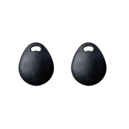 Risco RP200KT2000A - Lot de 2 badges 13,56Mhz pour clavier