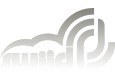 SWIID